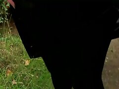 Vòi hoa sen hậu môn viet nam sex xxx nghiệp dư 4K